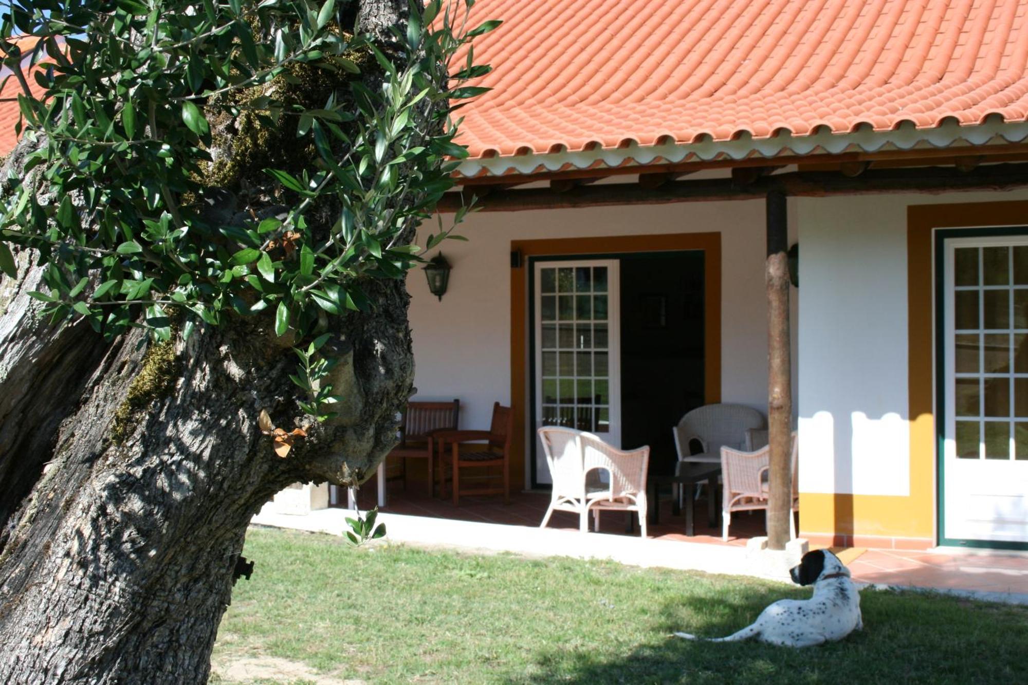 Villa Quinta Da Alcaidaria Mor Ourém Exterior foto